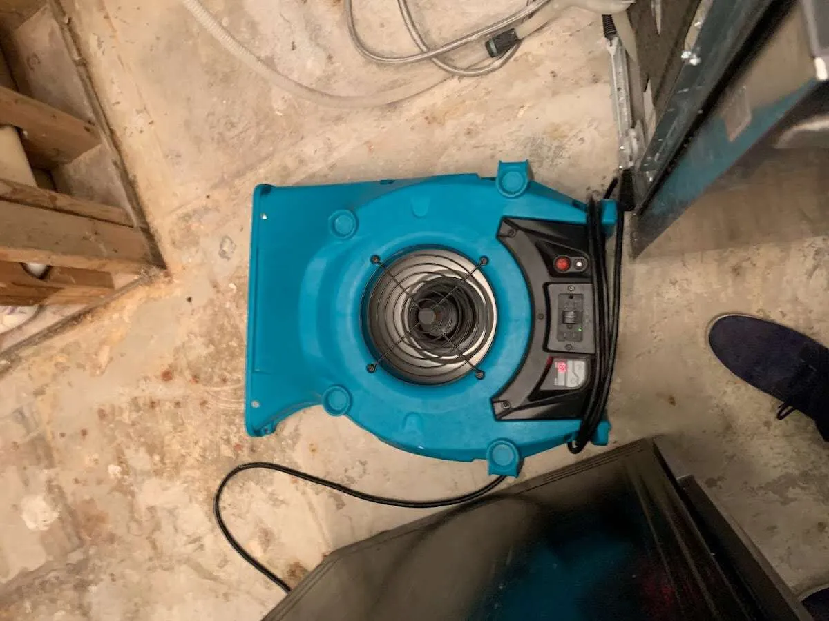 Air mover drying equipment for Mold Remediation & Removal in Union City