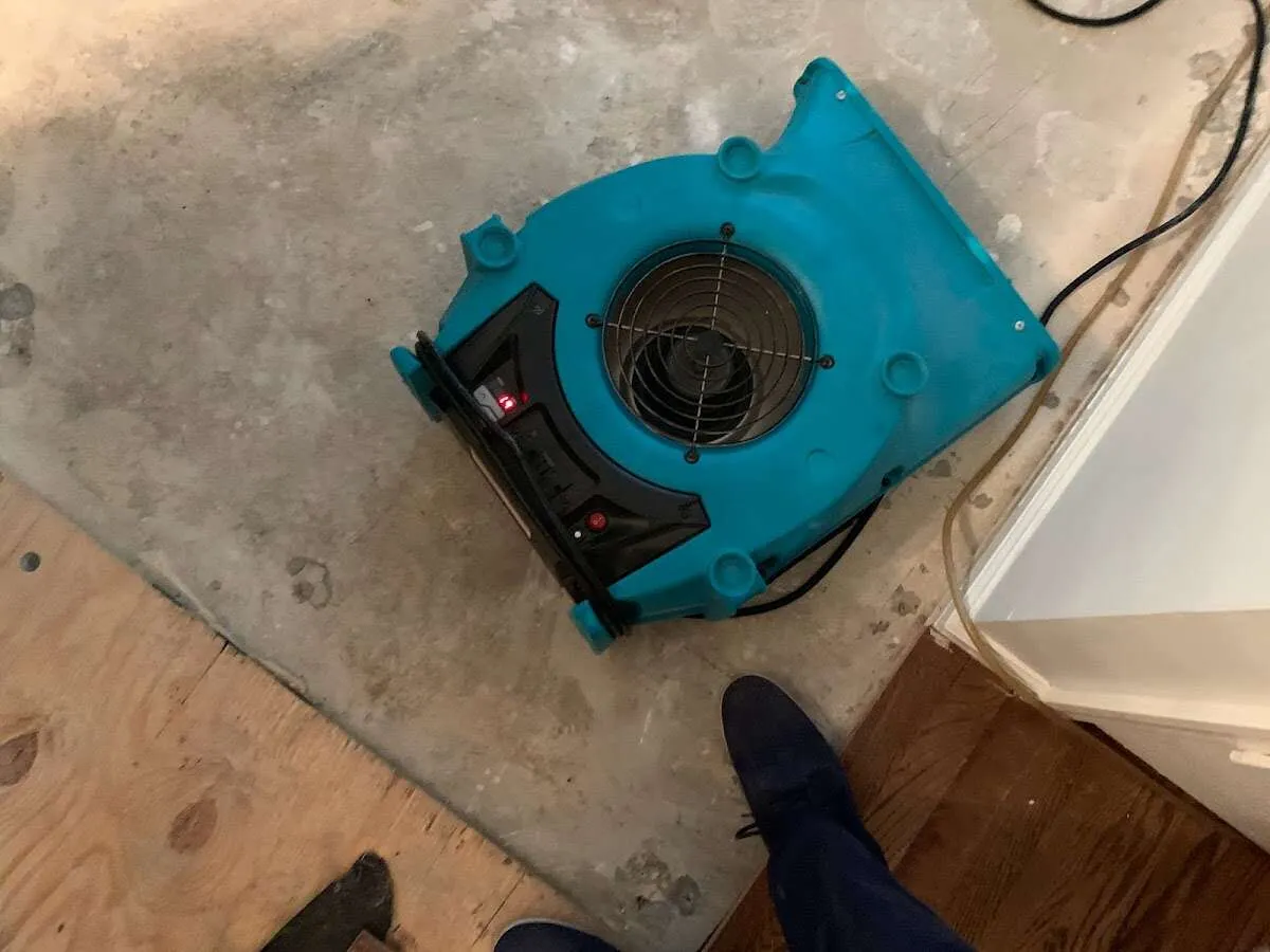 Air mover drying subfloor during Commercial Water Damage Restoration in Union City